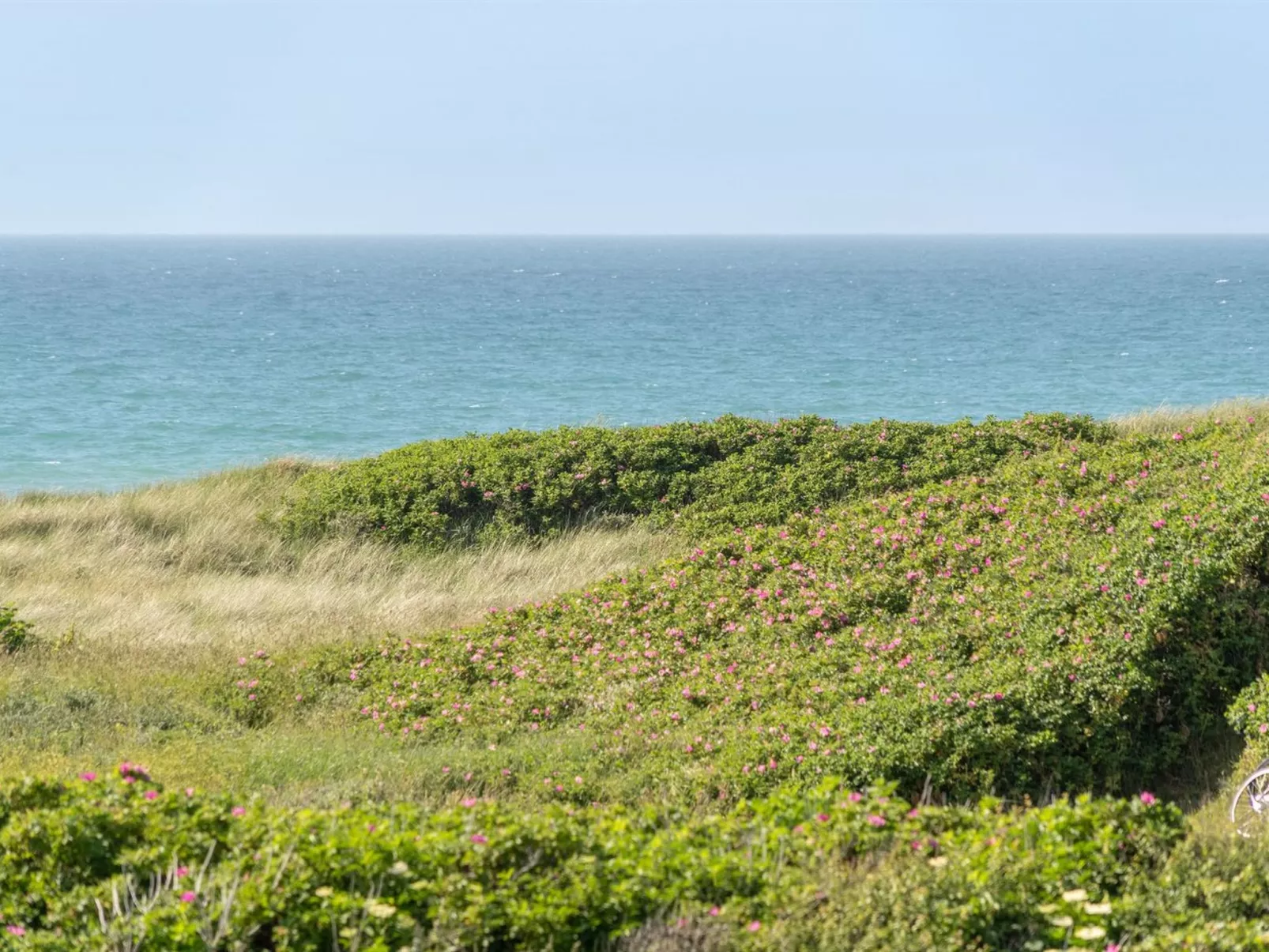 "Heidine" - 176m from the sea