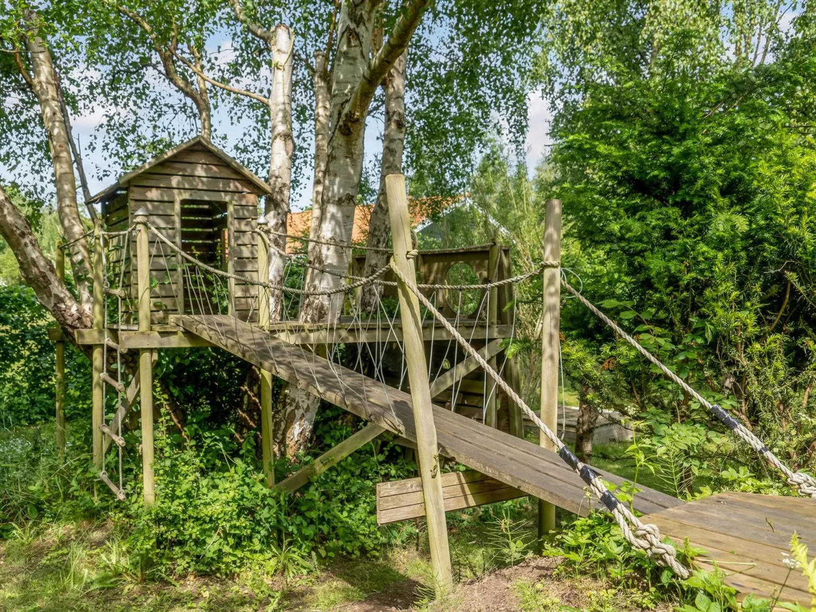 "Anemone" - 700m from the sea