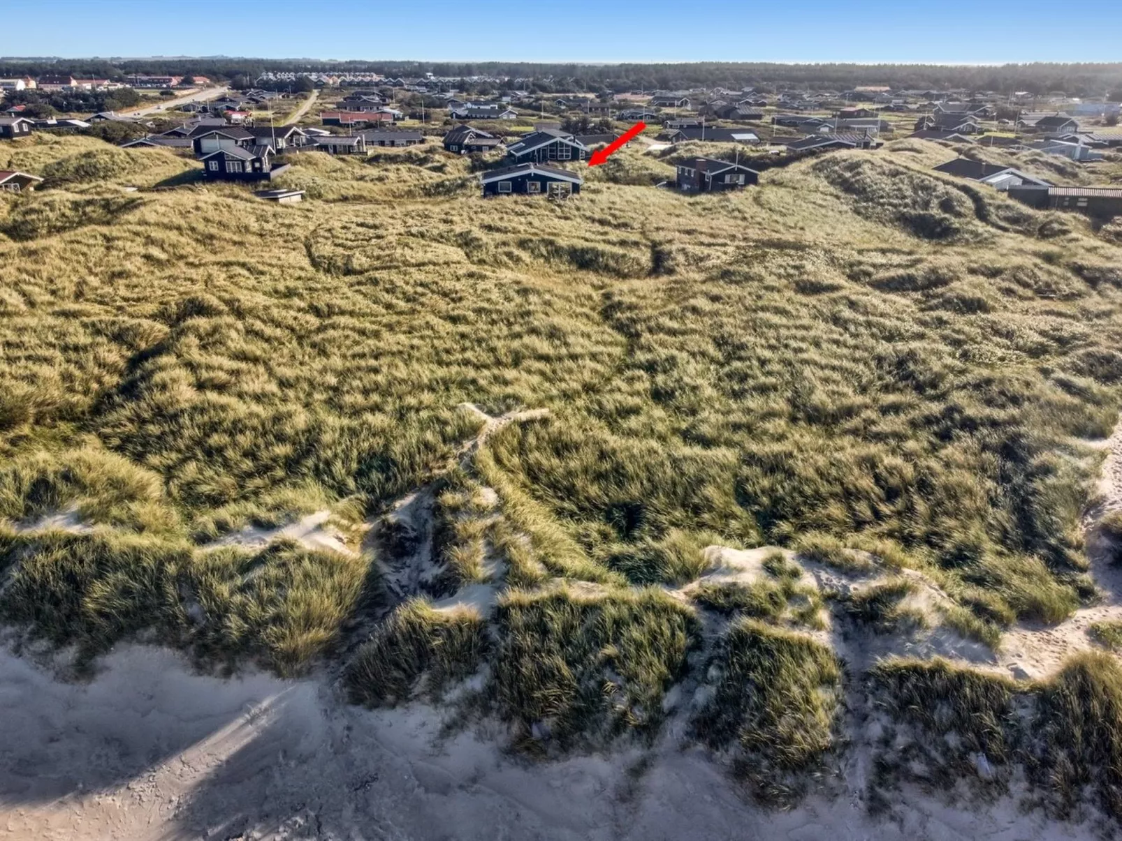 "Anissa" - 100m from the sea