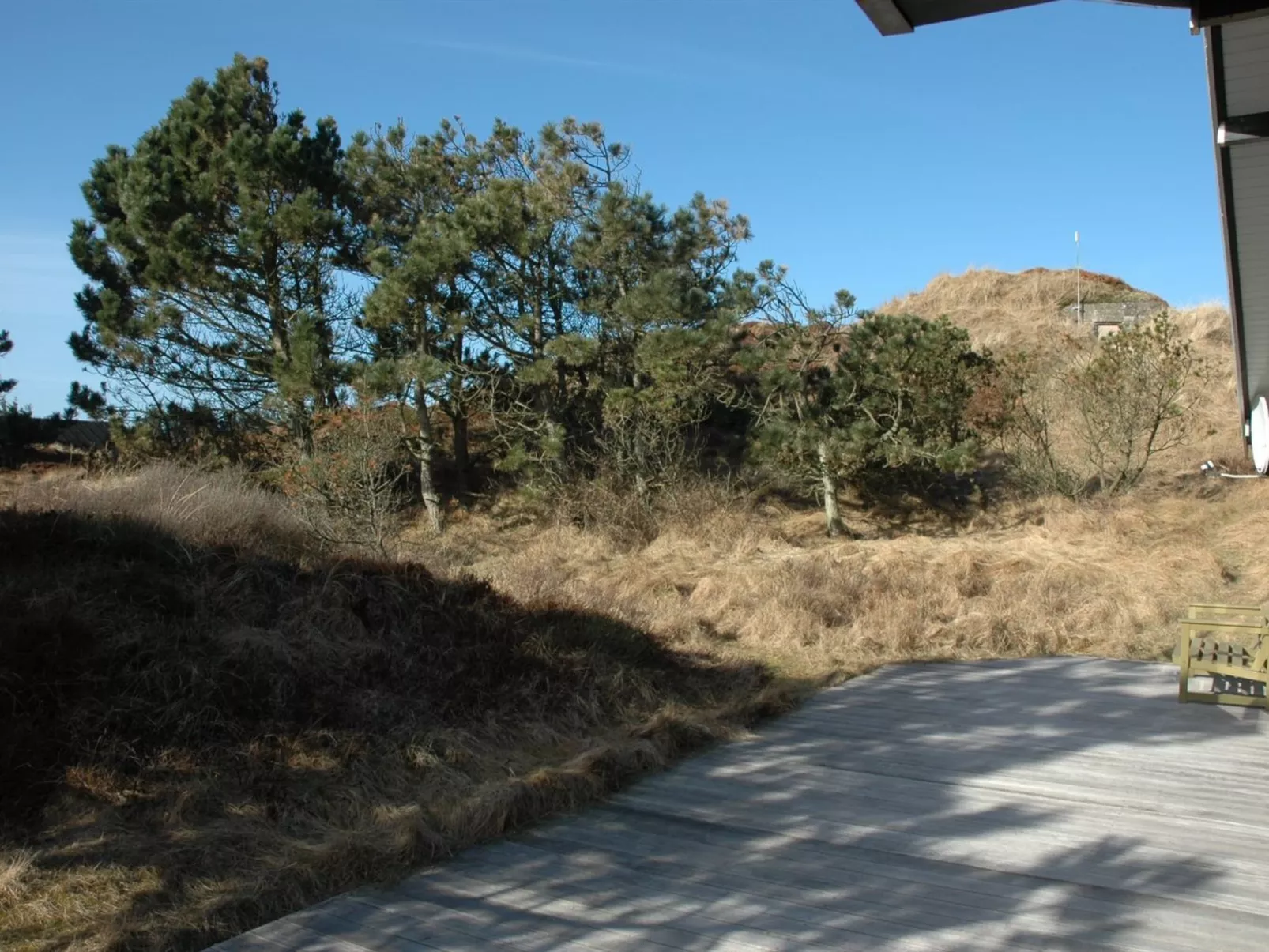 "Alin" - 600m from the sea