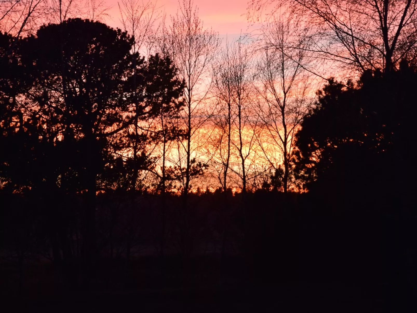 "Østmar" - 1.2km from the sea-Buiten