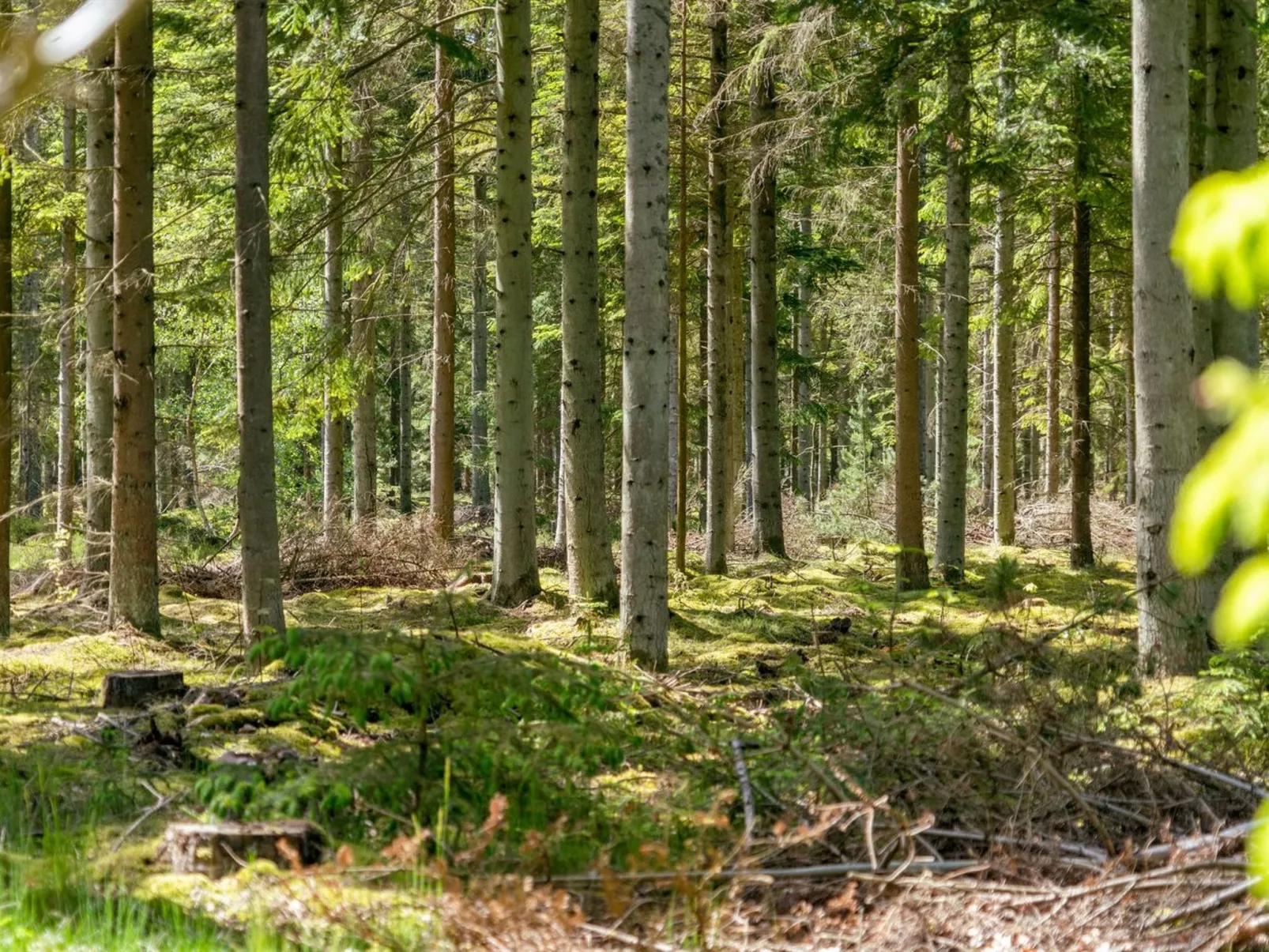 "Sighwith" - 500m from the sea