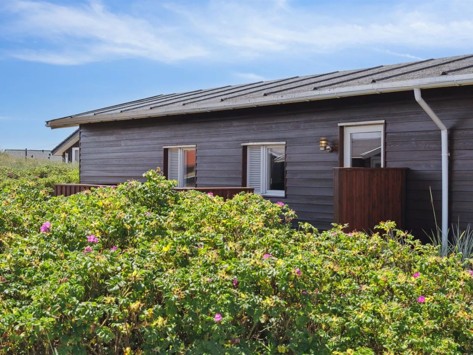 "Evelin" -  from the sea