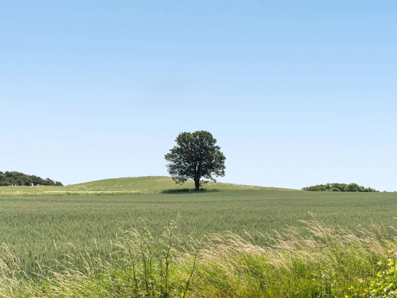 "Hila" - 900m from the sea