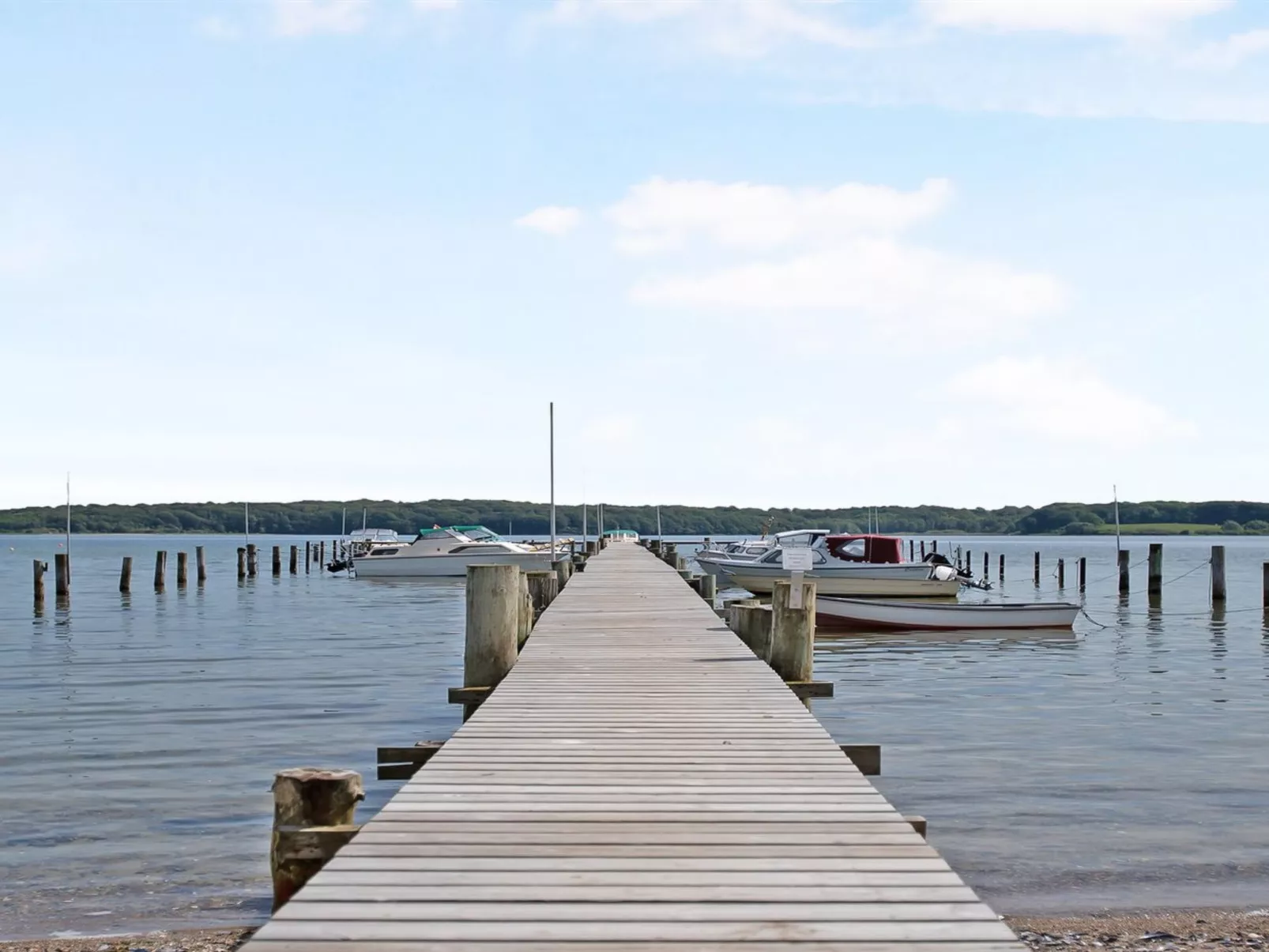 "Veselin" - 100m from the sea