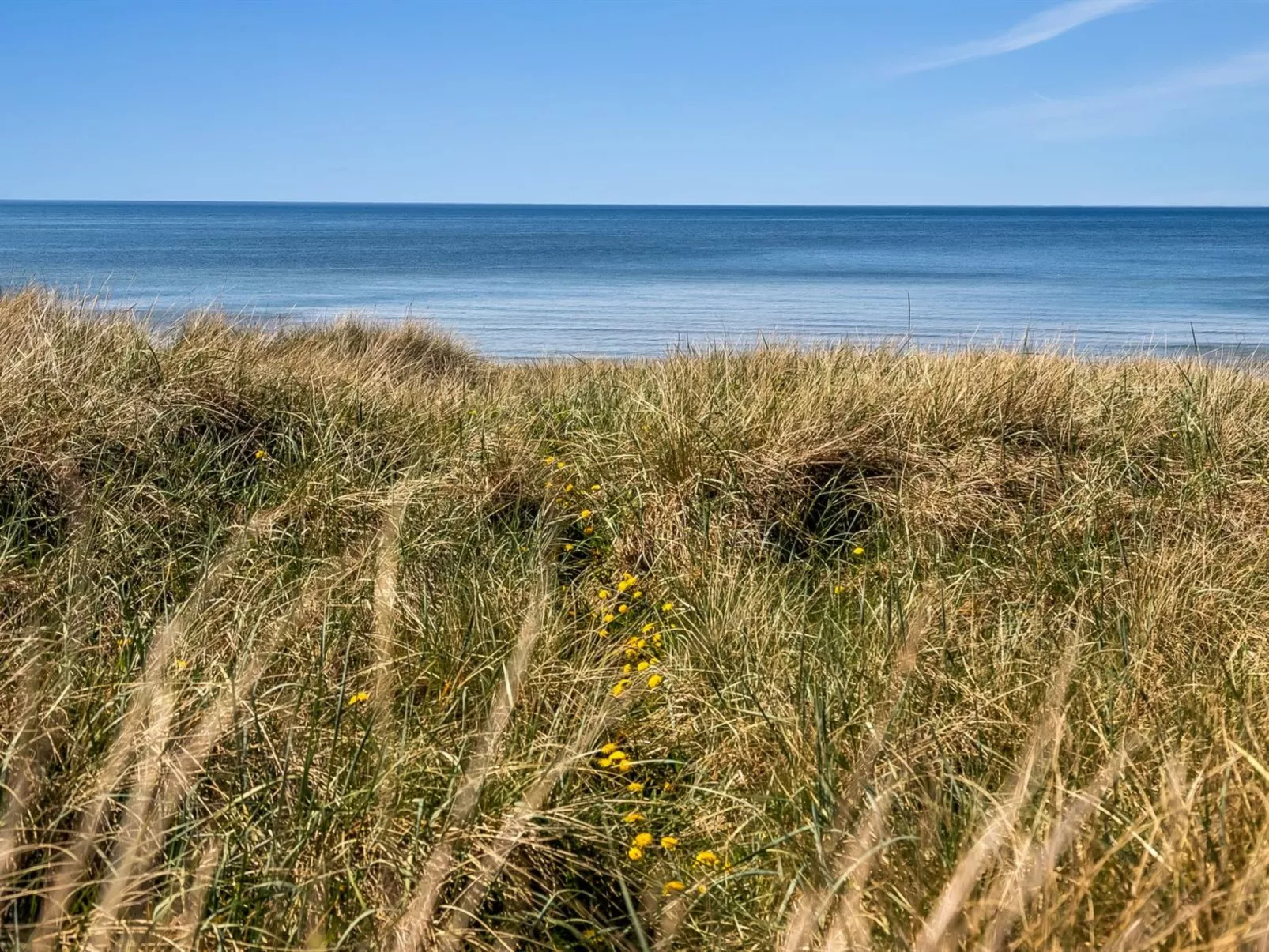 "Guthfrith" - 100m from the sea