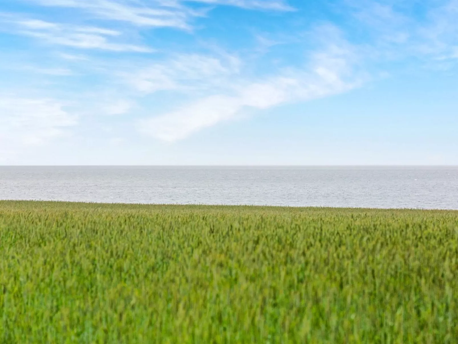 "Paale" - 200m to the fjord