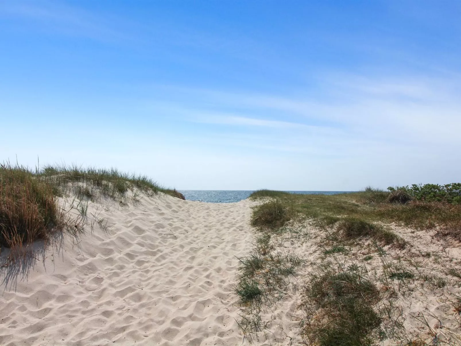 "Gaja" - 1km from the sea