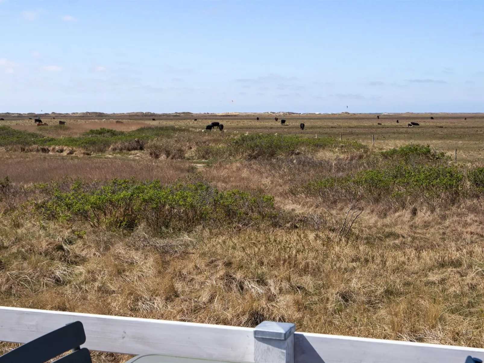 "Blomma" - 350m from the sea