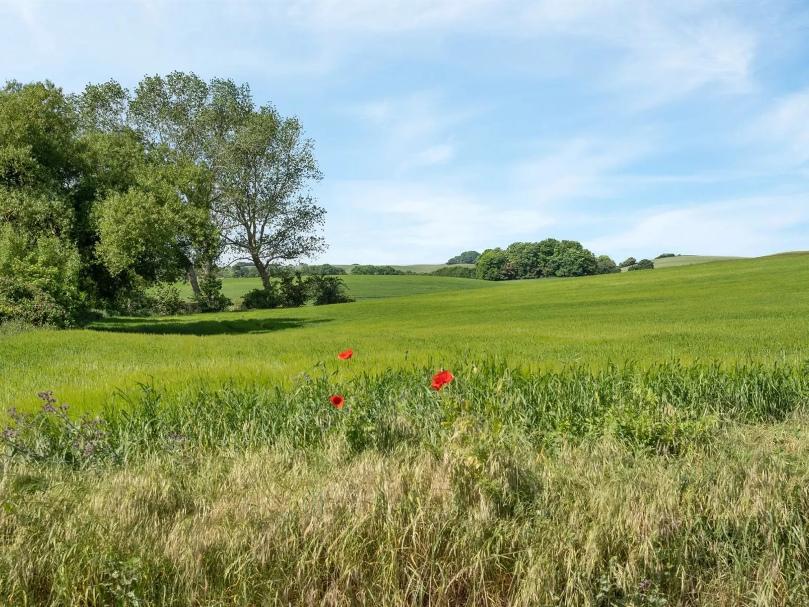 "Bitha" - 400m from the sea