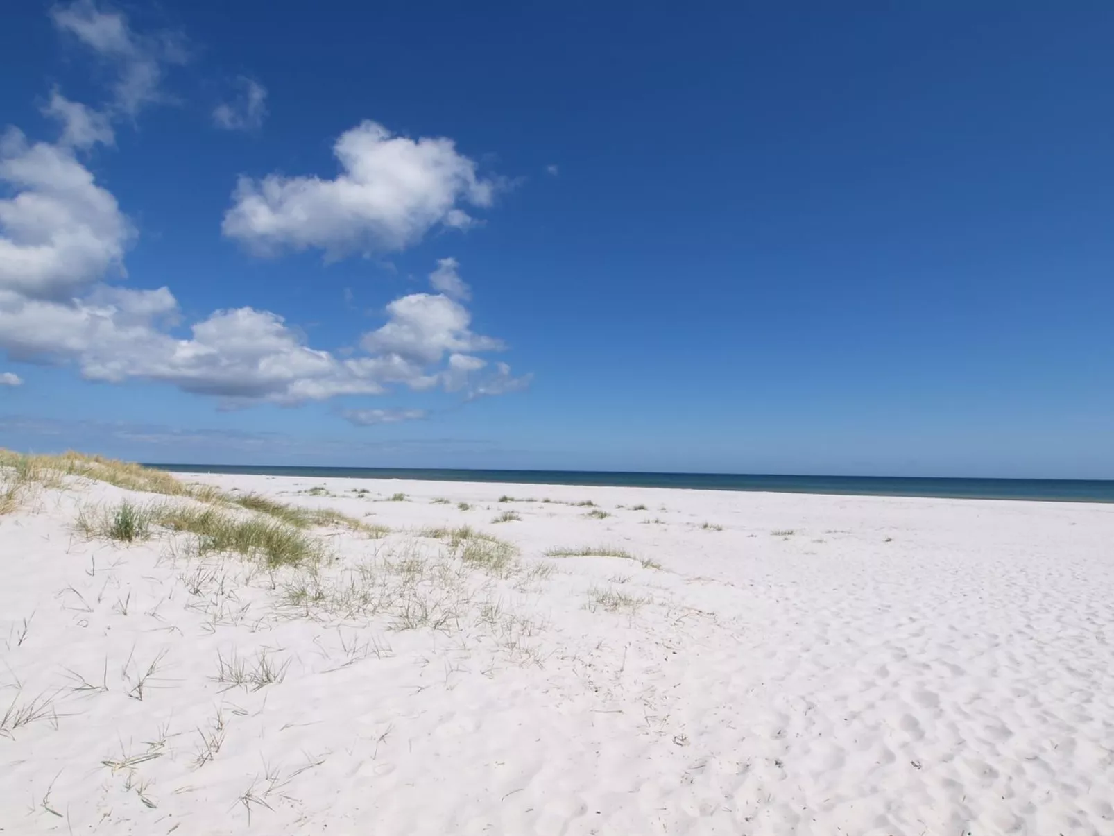 "Jose" - 300m from the sea