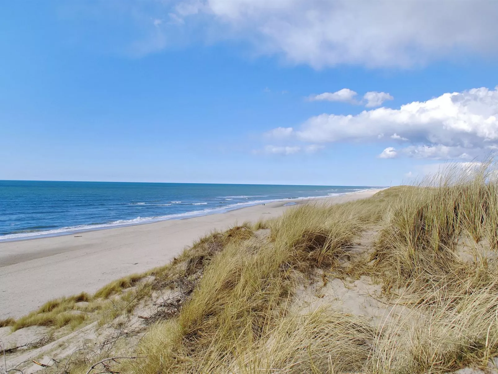 "Jannike" - 100m from the sea-Buiten