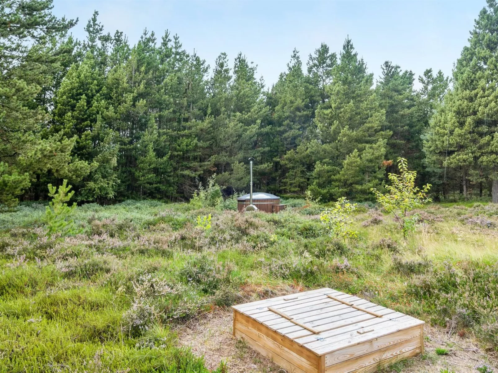 "Nila" - 750m from the sea