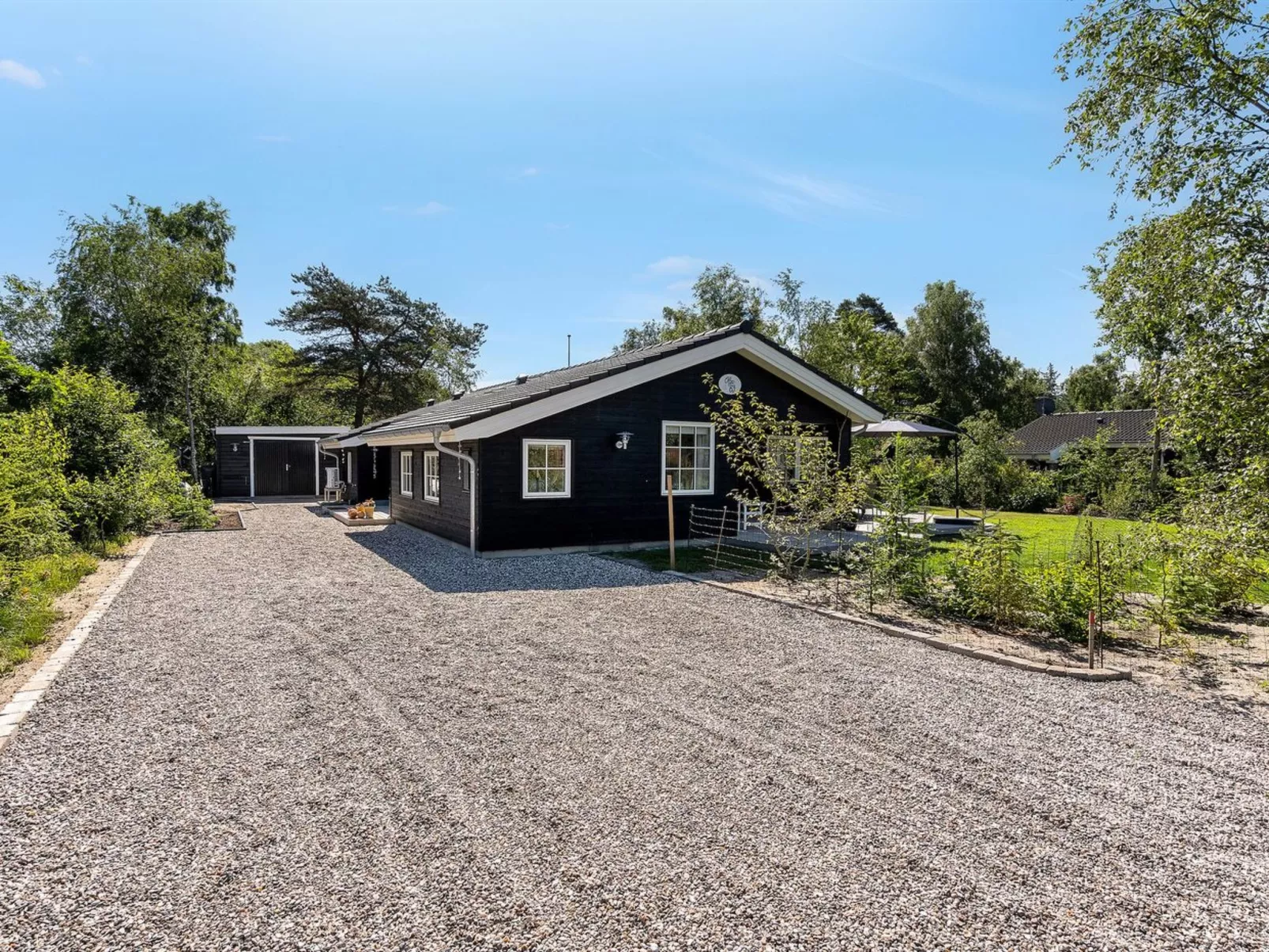 "Fido" - 300m from the sea