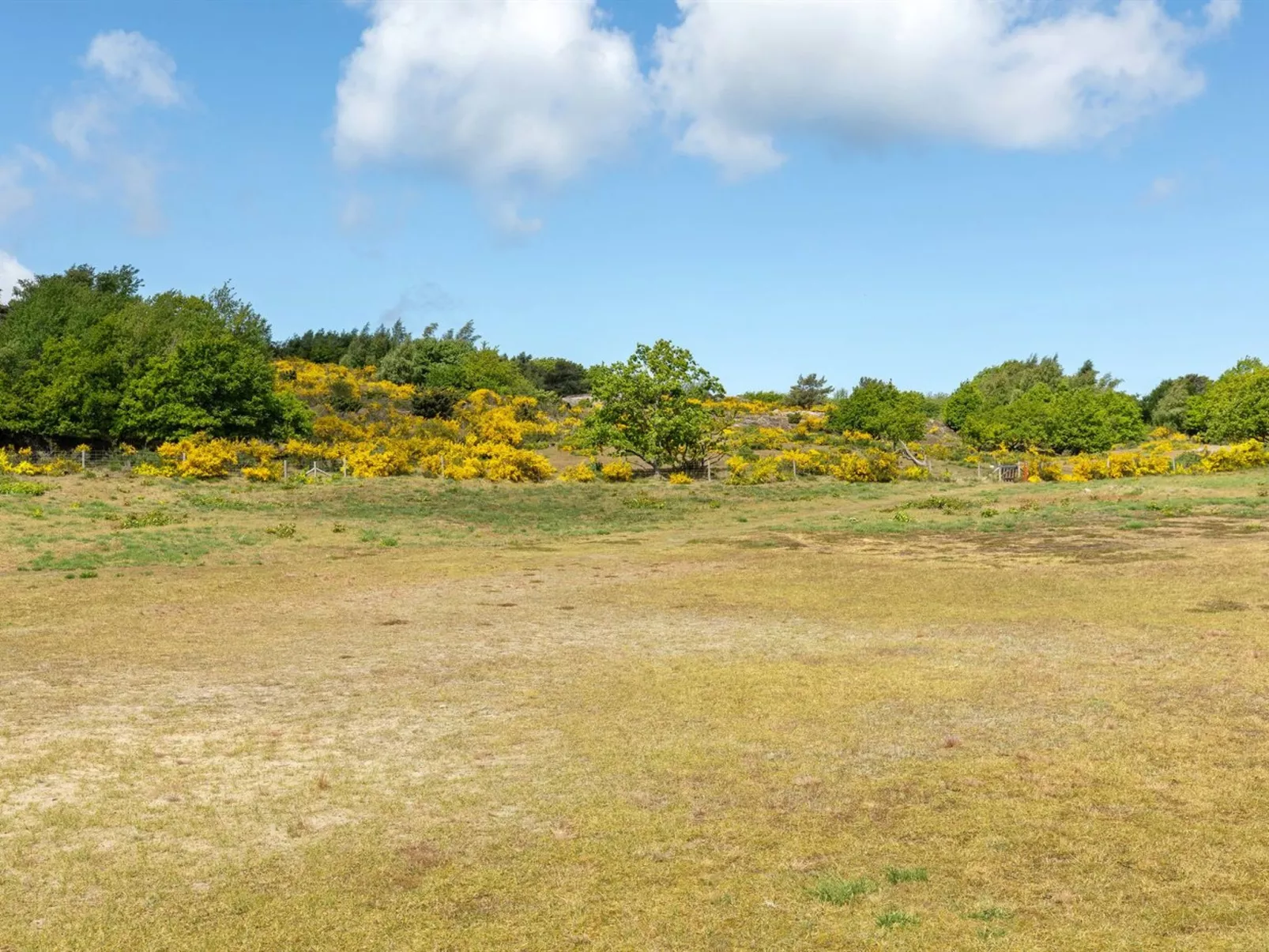 "Alea" - 200m from the sea