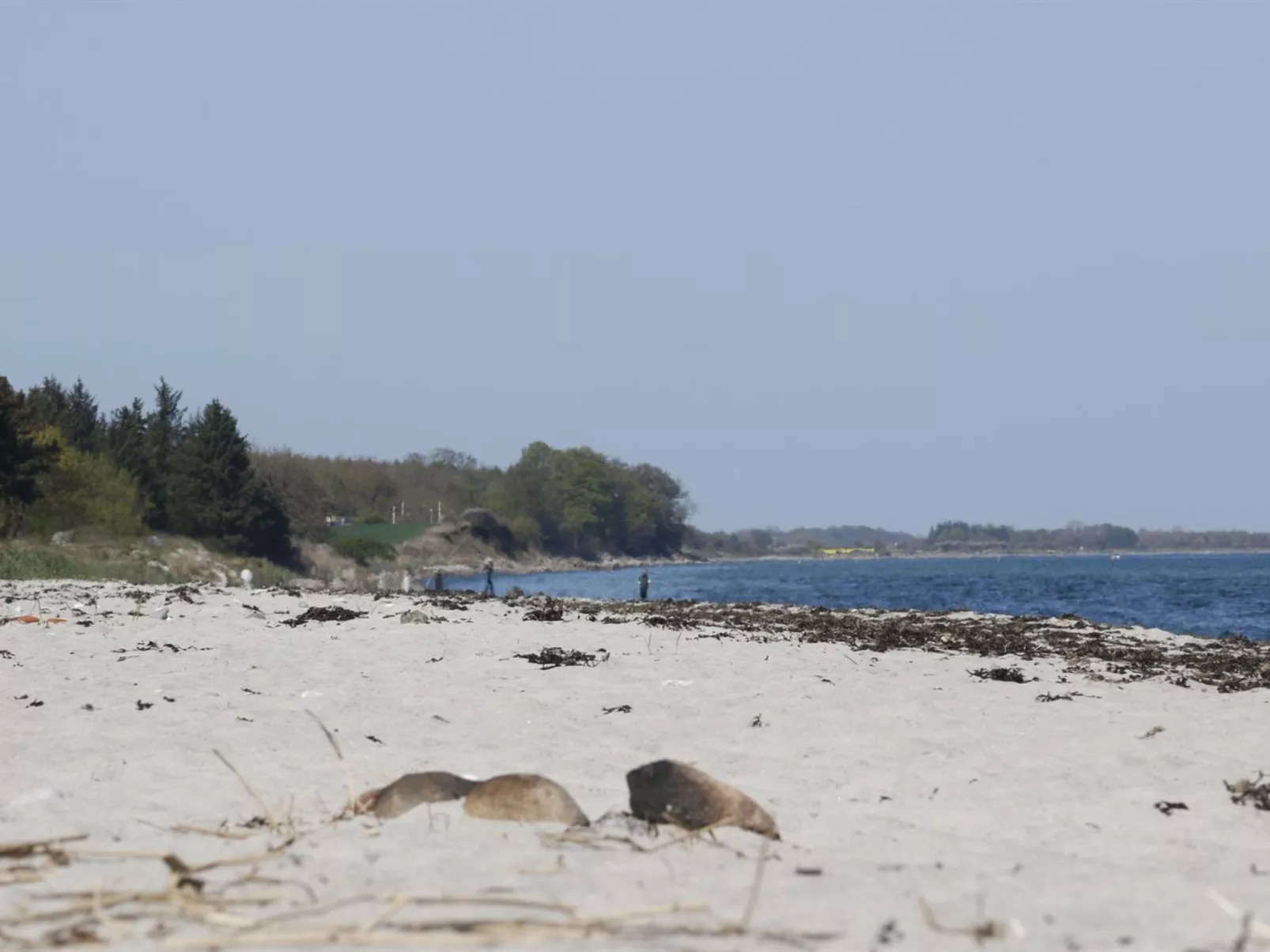 "Bridgette" - 100m from the sea