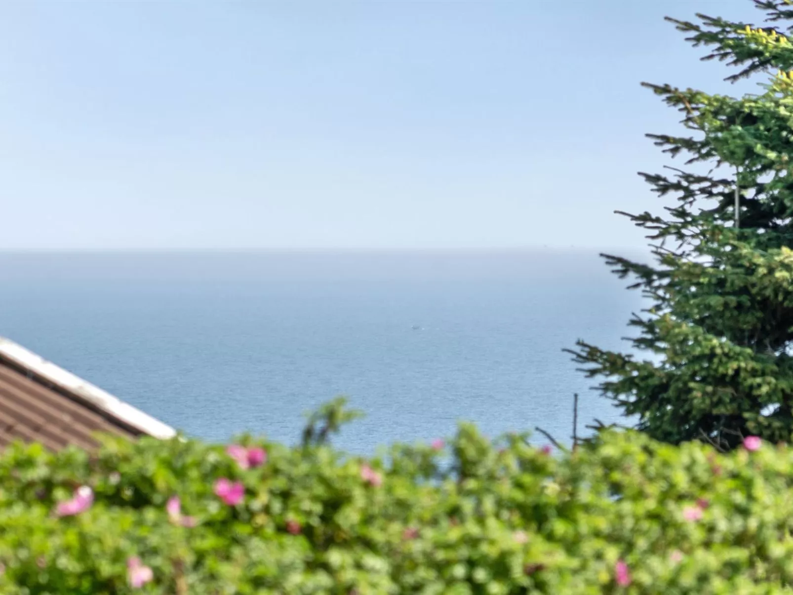 "Jarmericus" - 300m from the sea