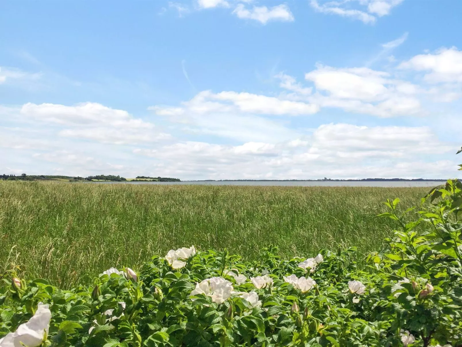 "Vojo" - 100m from the sea