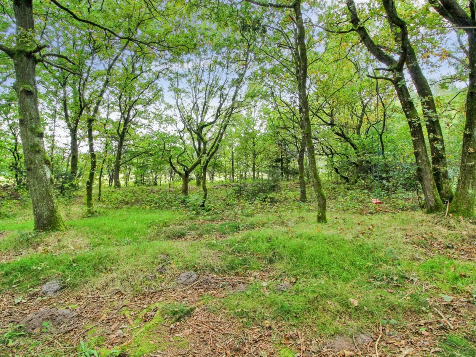 "Ellica" - 50km from the sea