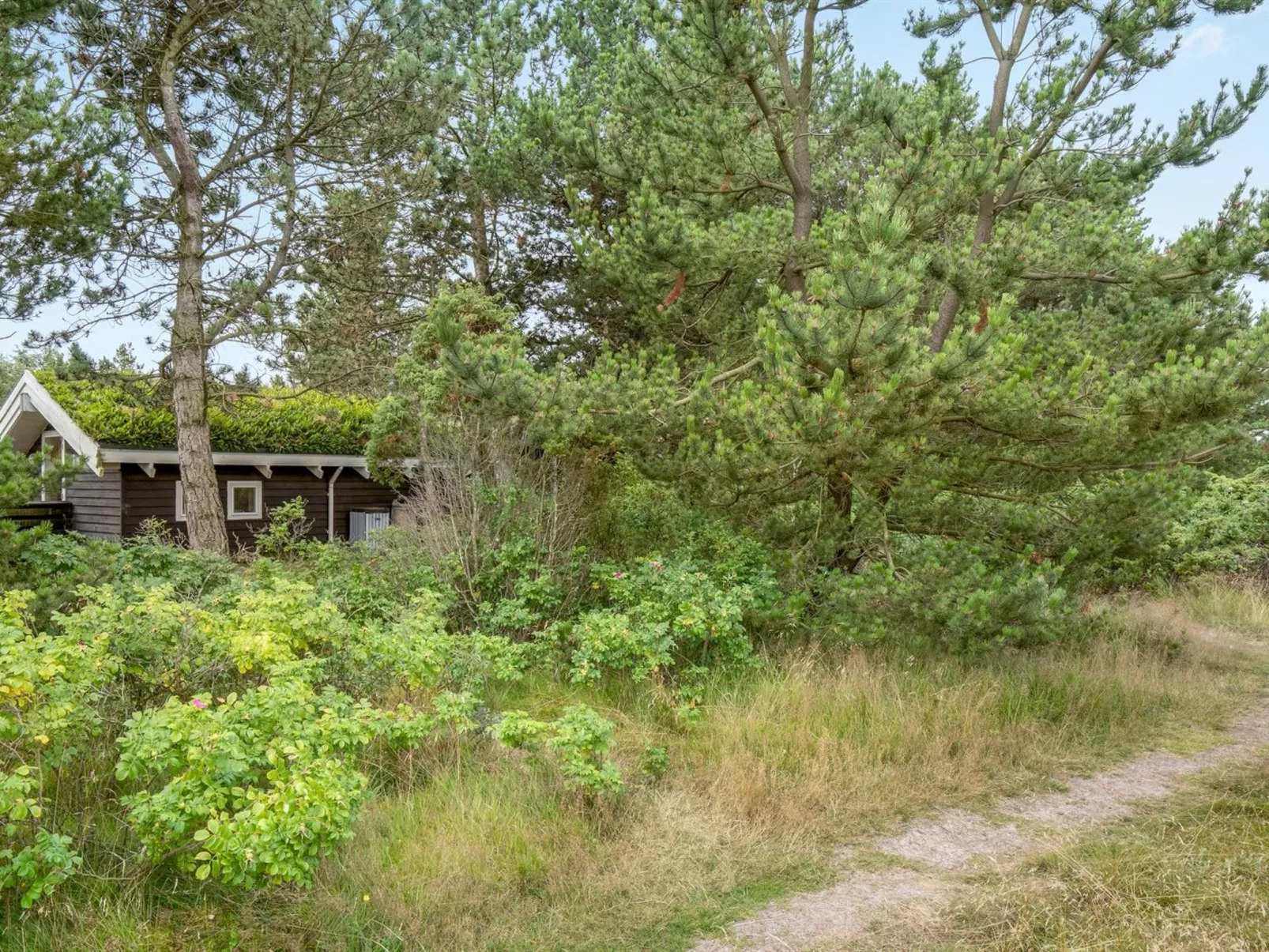 "Alfi" - 150m from the sea