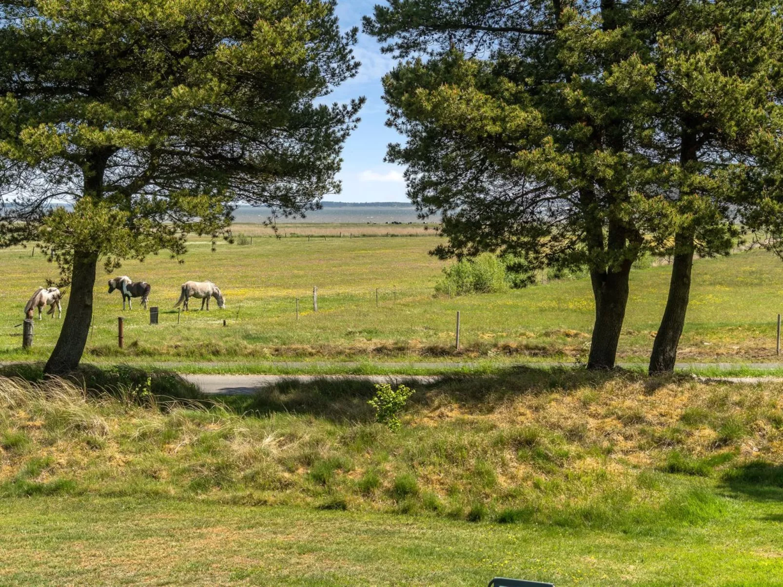 "Elny" - 500m to the fjord