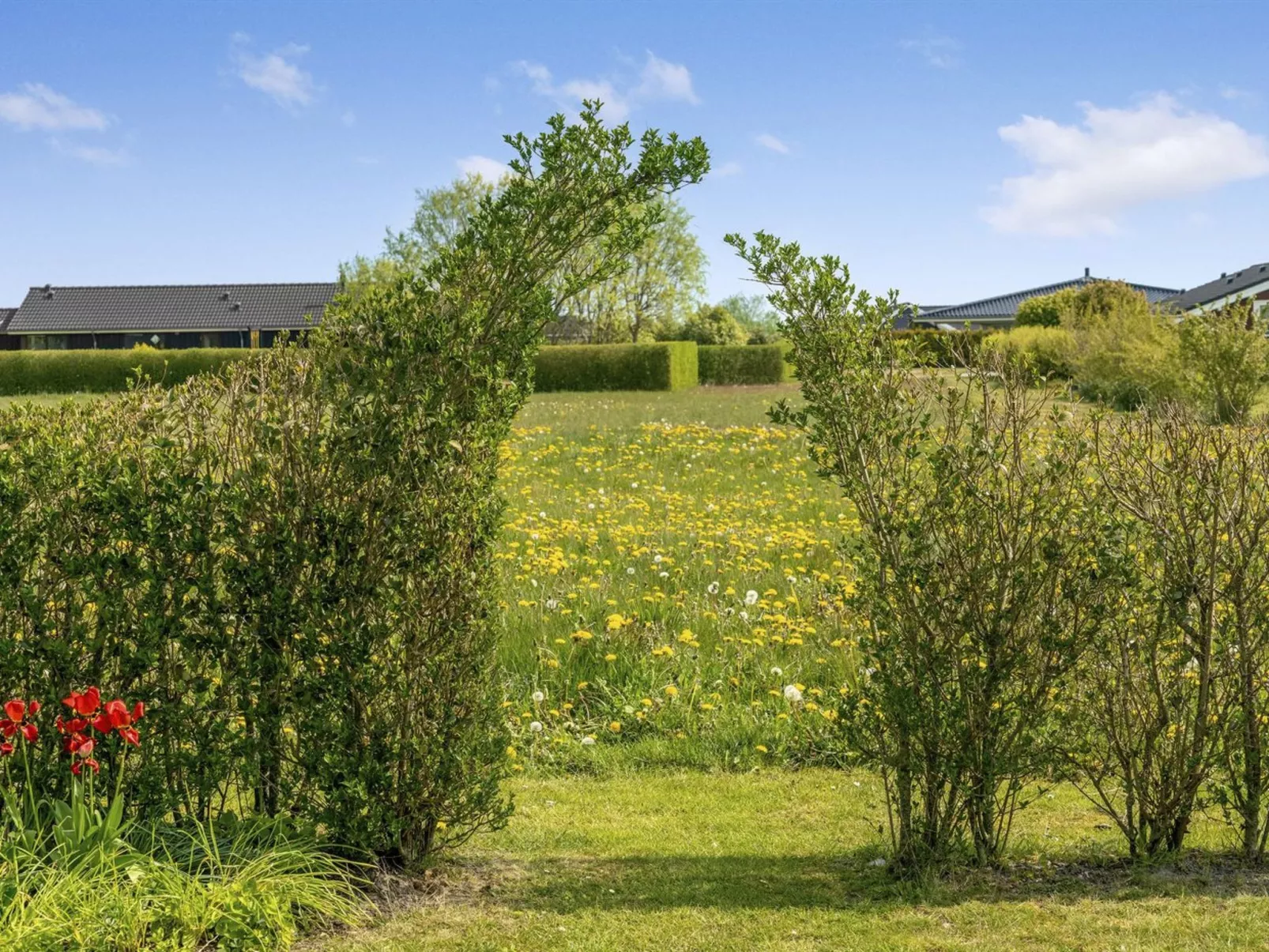 "Reimer" - 700m from the sea