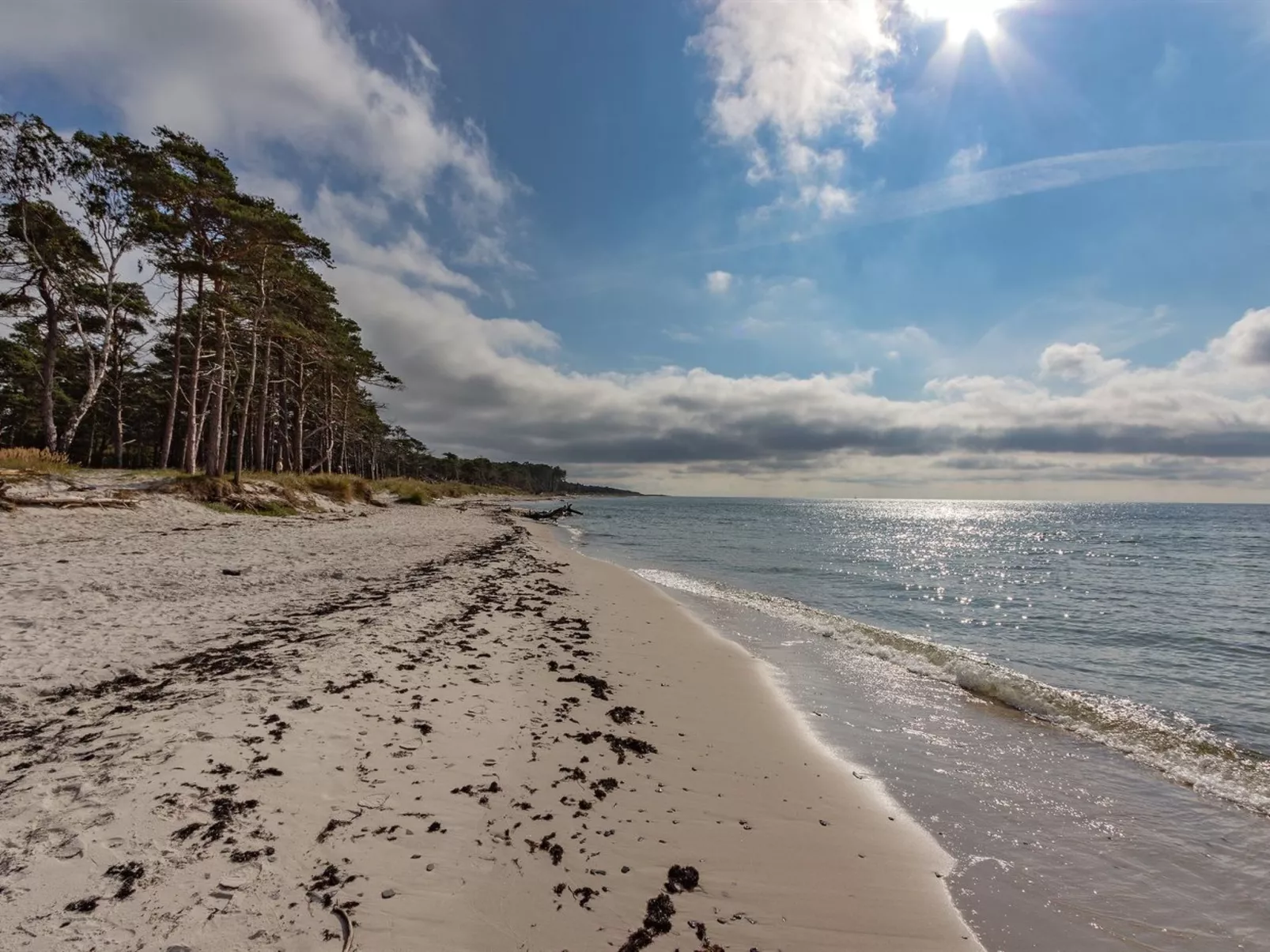 "Hildegerd" - 500m from the sea