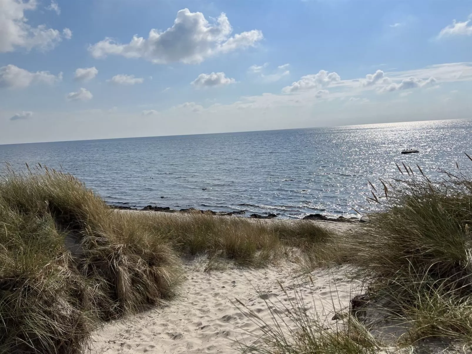 "Majken" - 300m from the sea