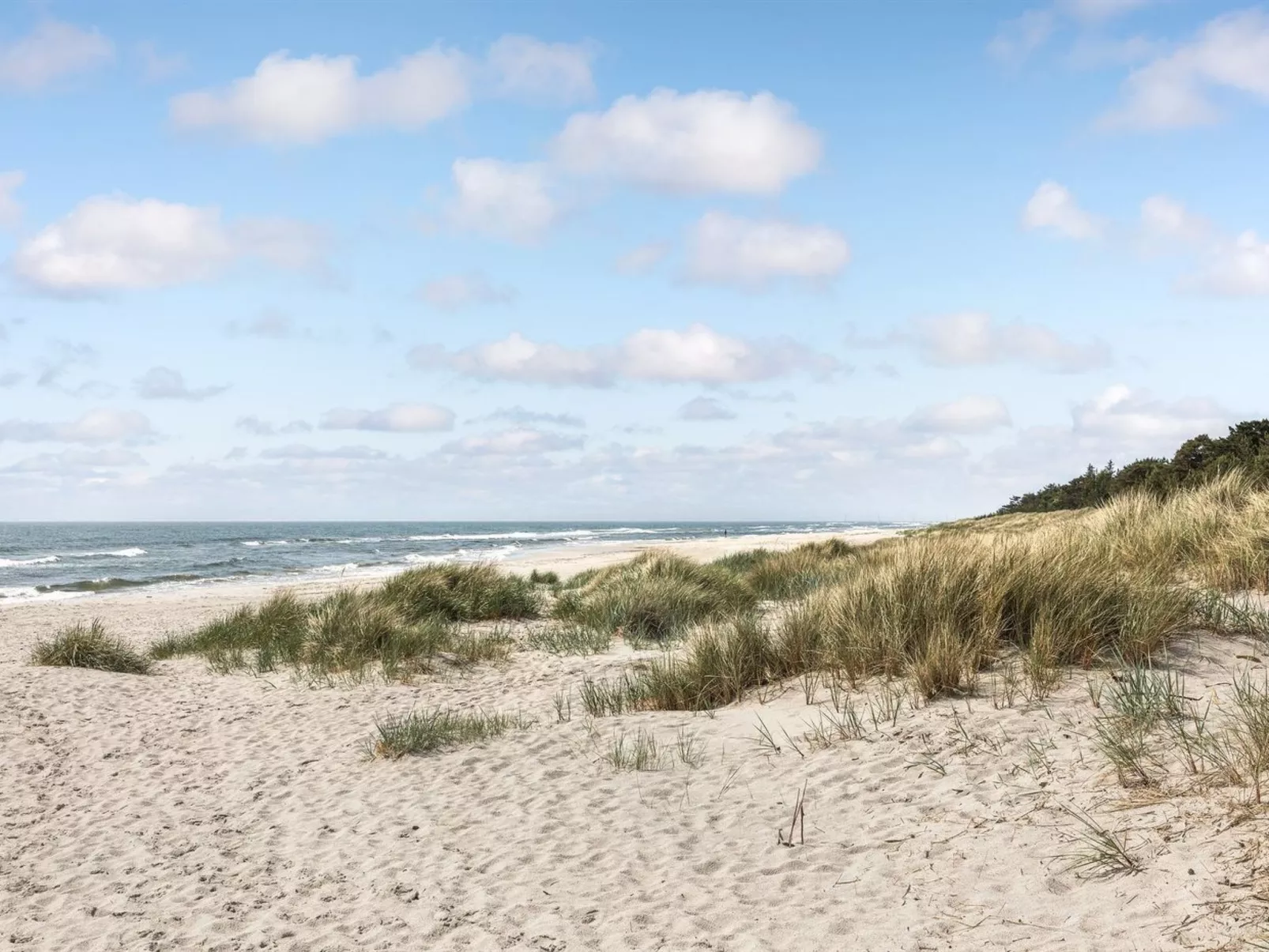 "Selvi" - 125m from the sea