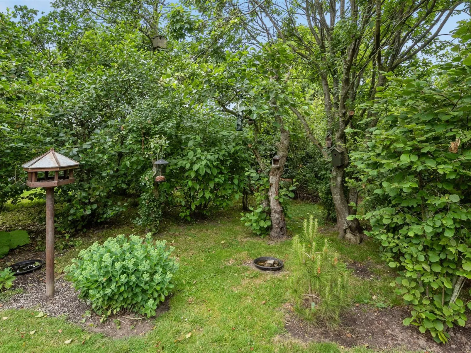 "Yara" - 1km to the fjord