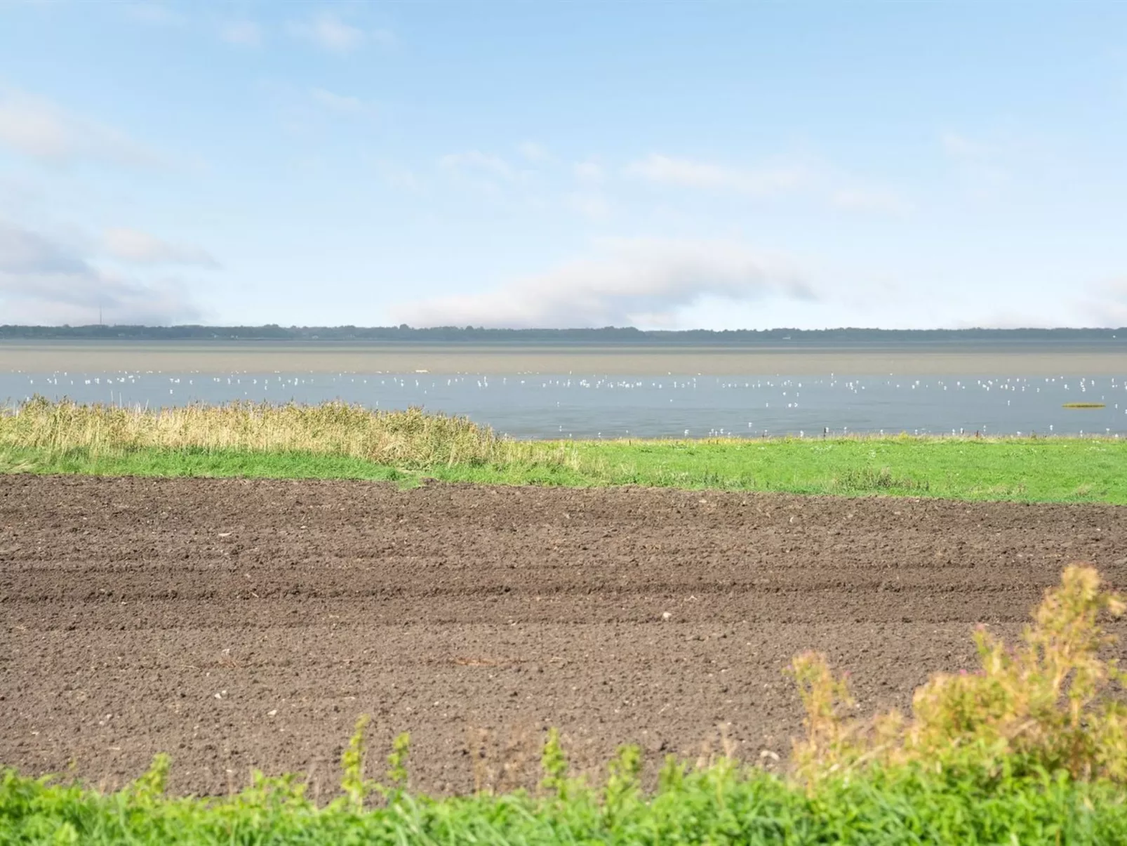 "Kielo" - 10km from the sea