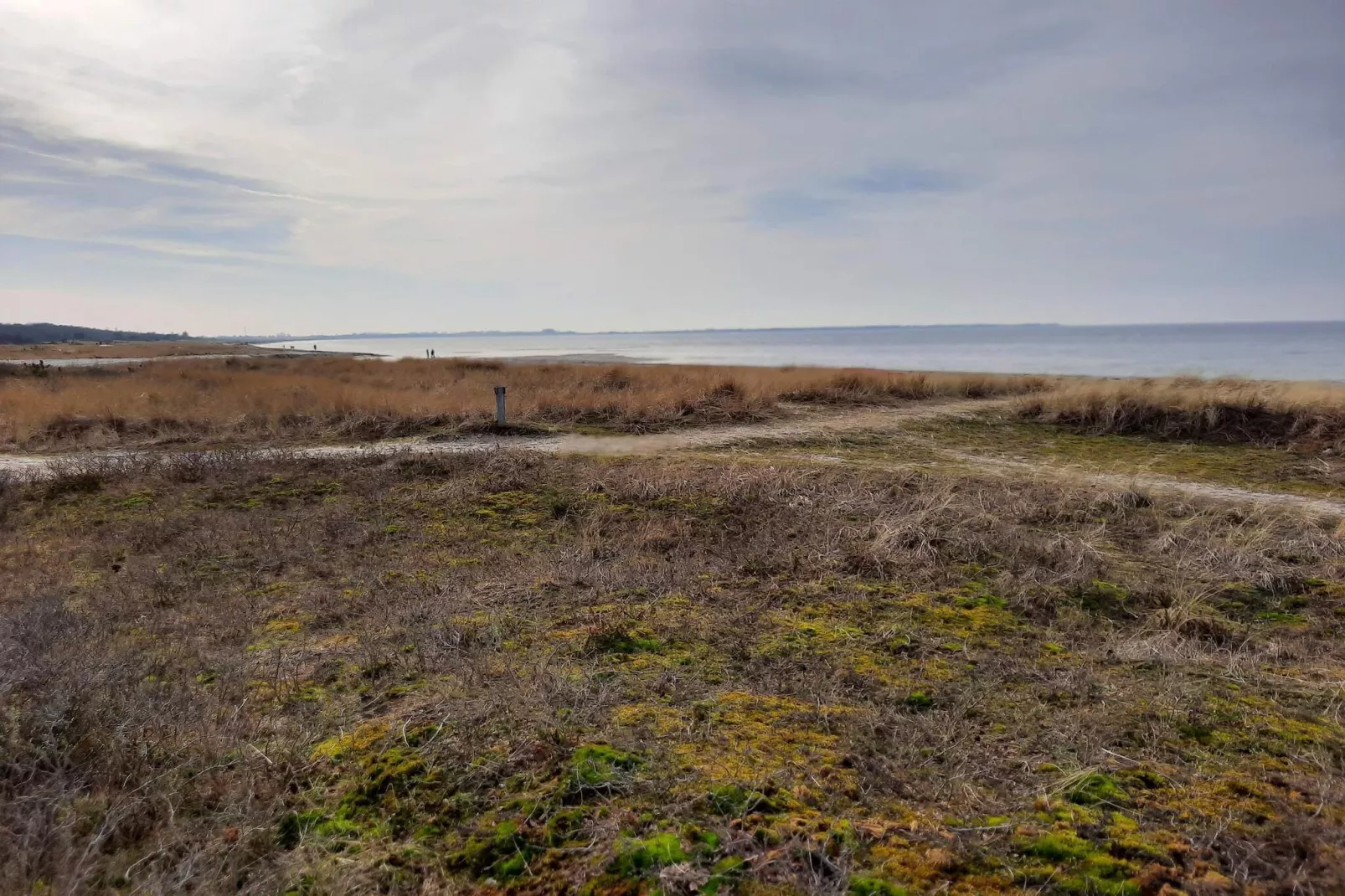 8 persoons vakantie huis in Store Fuglede-By Traum-Niet-getagd