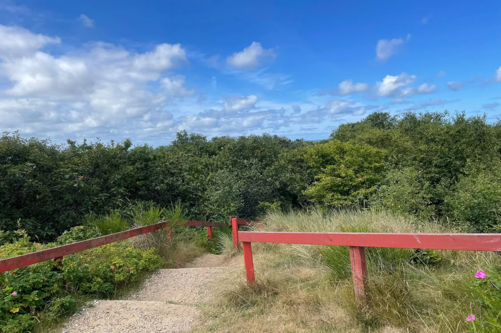 6 persoons vakantie huis in Henne-Niet-getagd