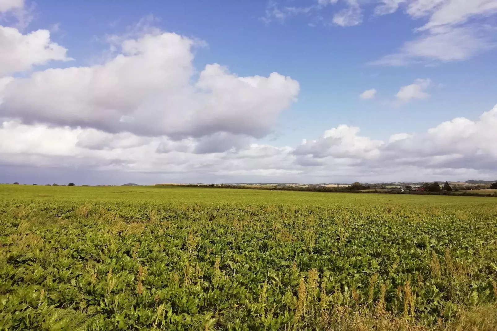 4 sterren vakantie huis in Stege-By Traum