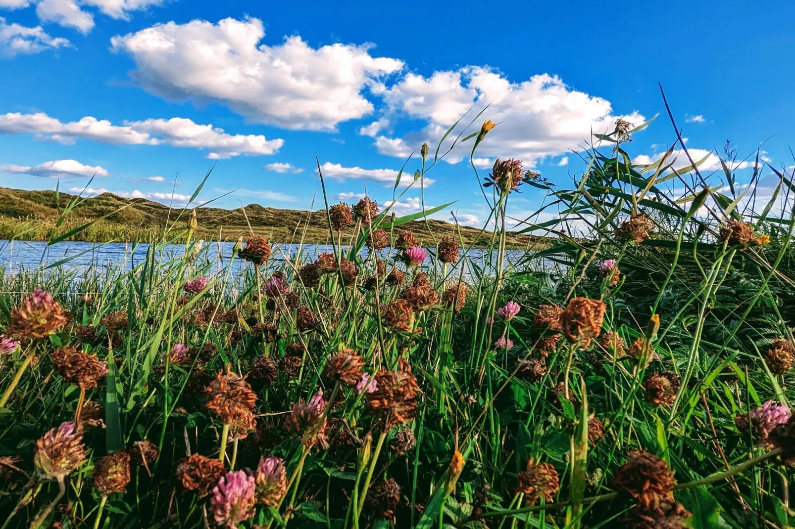 6 persoons vakantie huis in Nørre Nebel-By Traum
