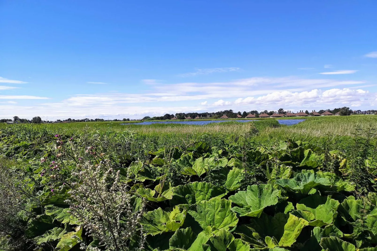 Gezellig toevluchtsoord aan zee in Eno-By Traum-Niet-getagd