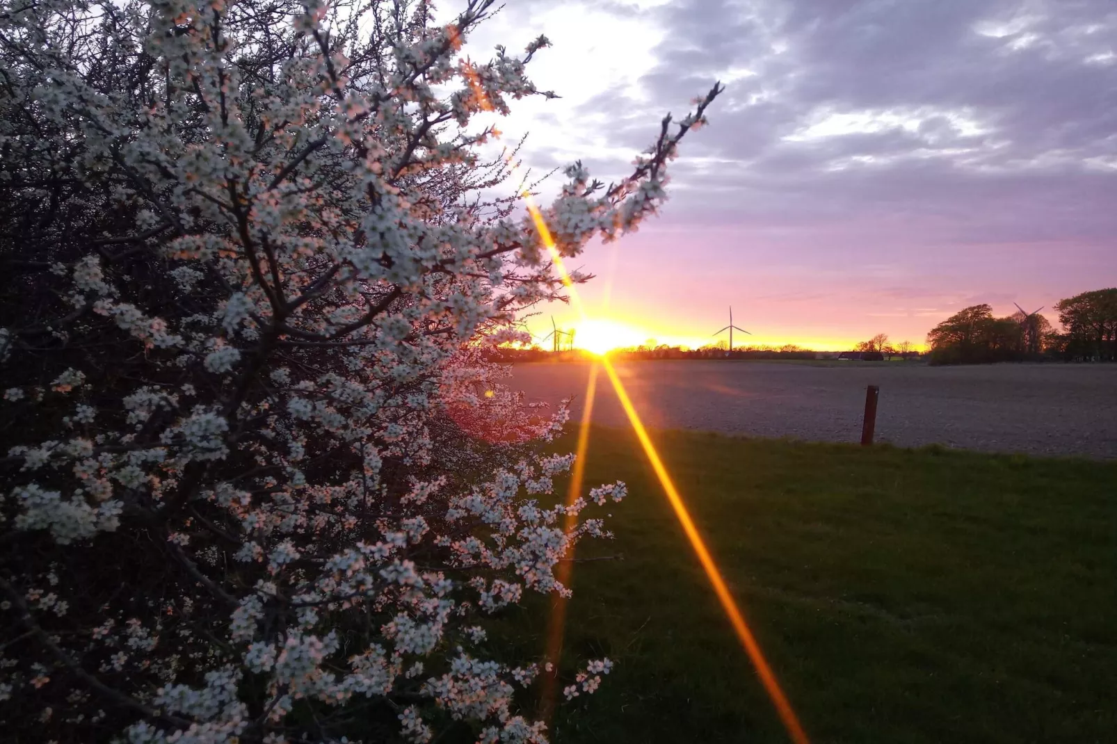 4 sterren vakantie huis in Idestrup-By Traum-Niet-getagd