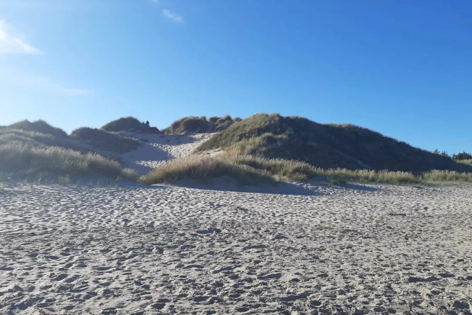 5 sterren vakantie huis in Ålbæk-By Traum-Niet-getagd