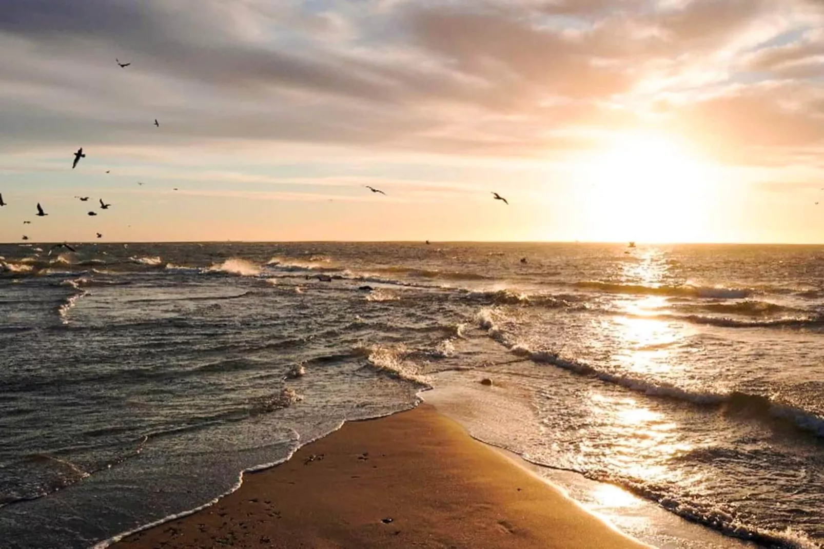 5 sterren vakantie huis in Skagen-By Traum