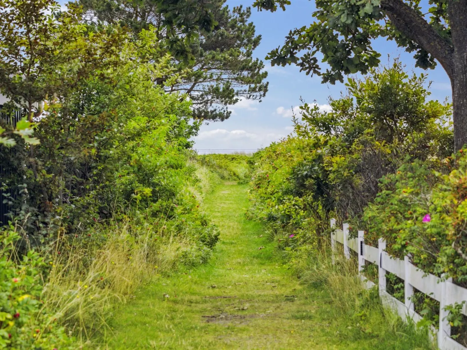 "Akseline" - 300m from the sea