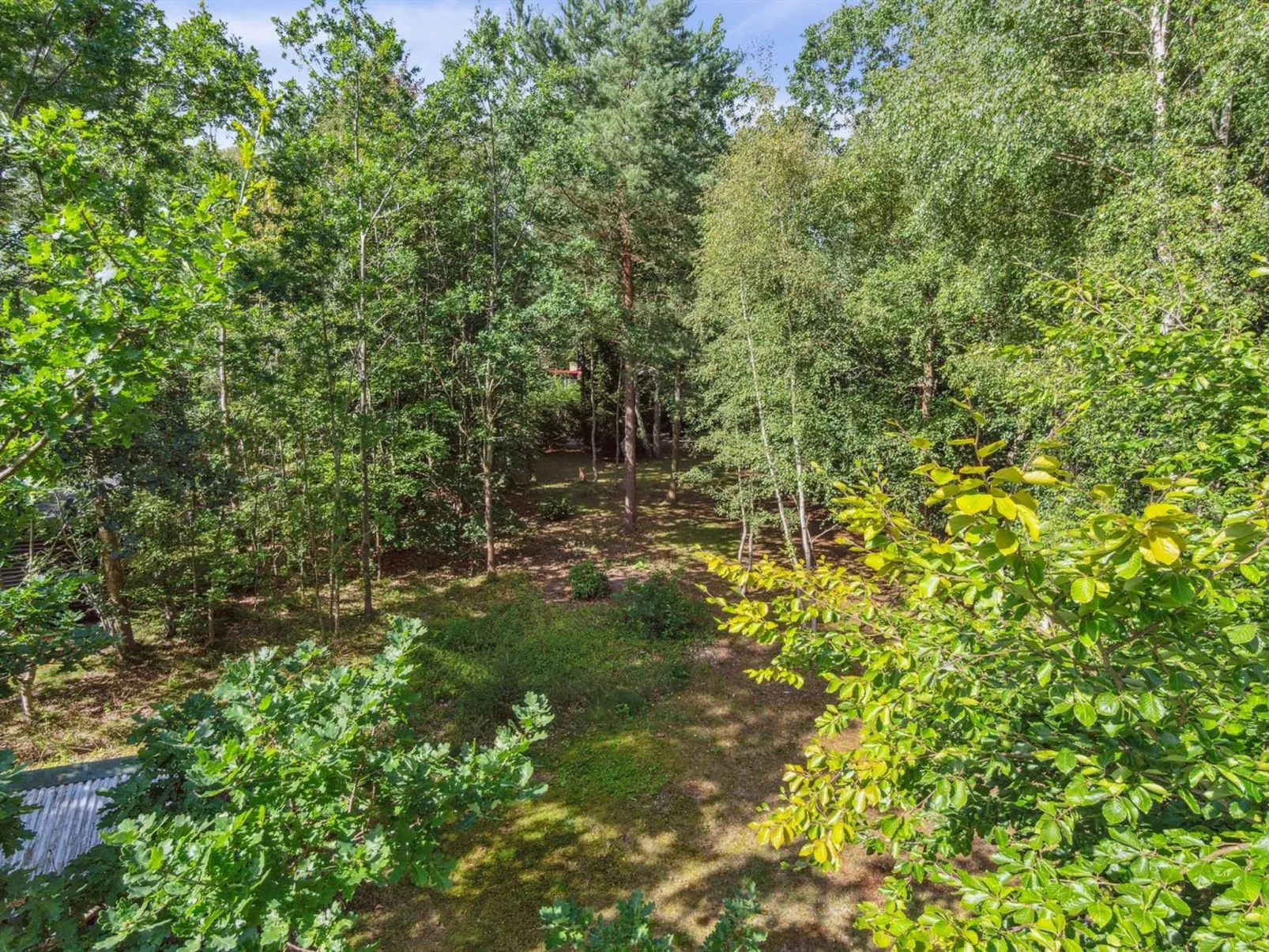 "Herminia" - 800m from the sea