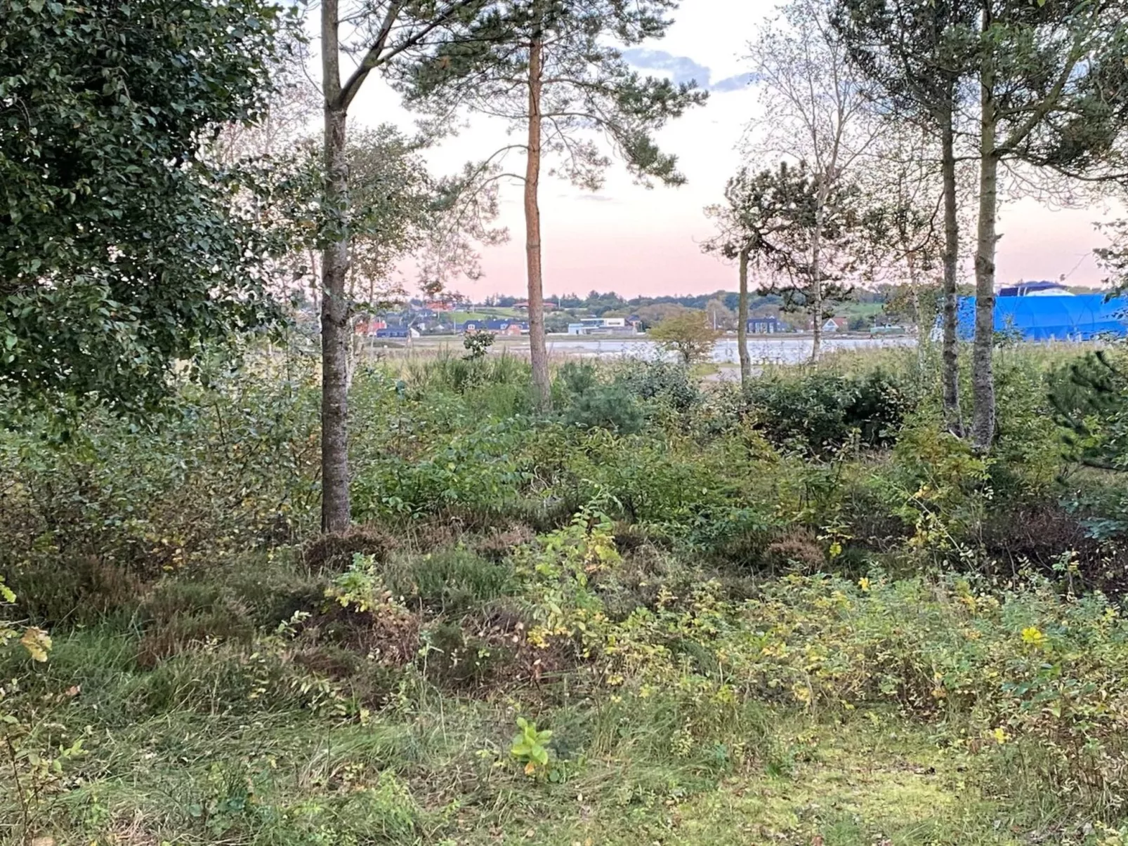 "Bosi" - 100m to the fjord