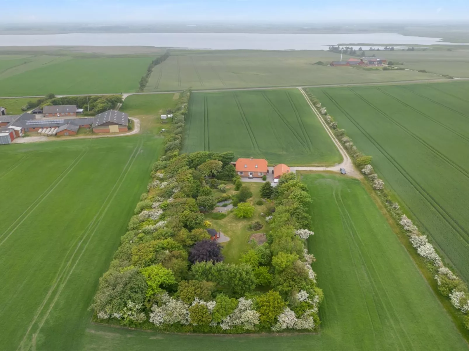 "Soria" - 600m to the fjord