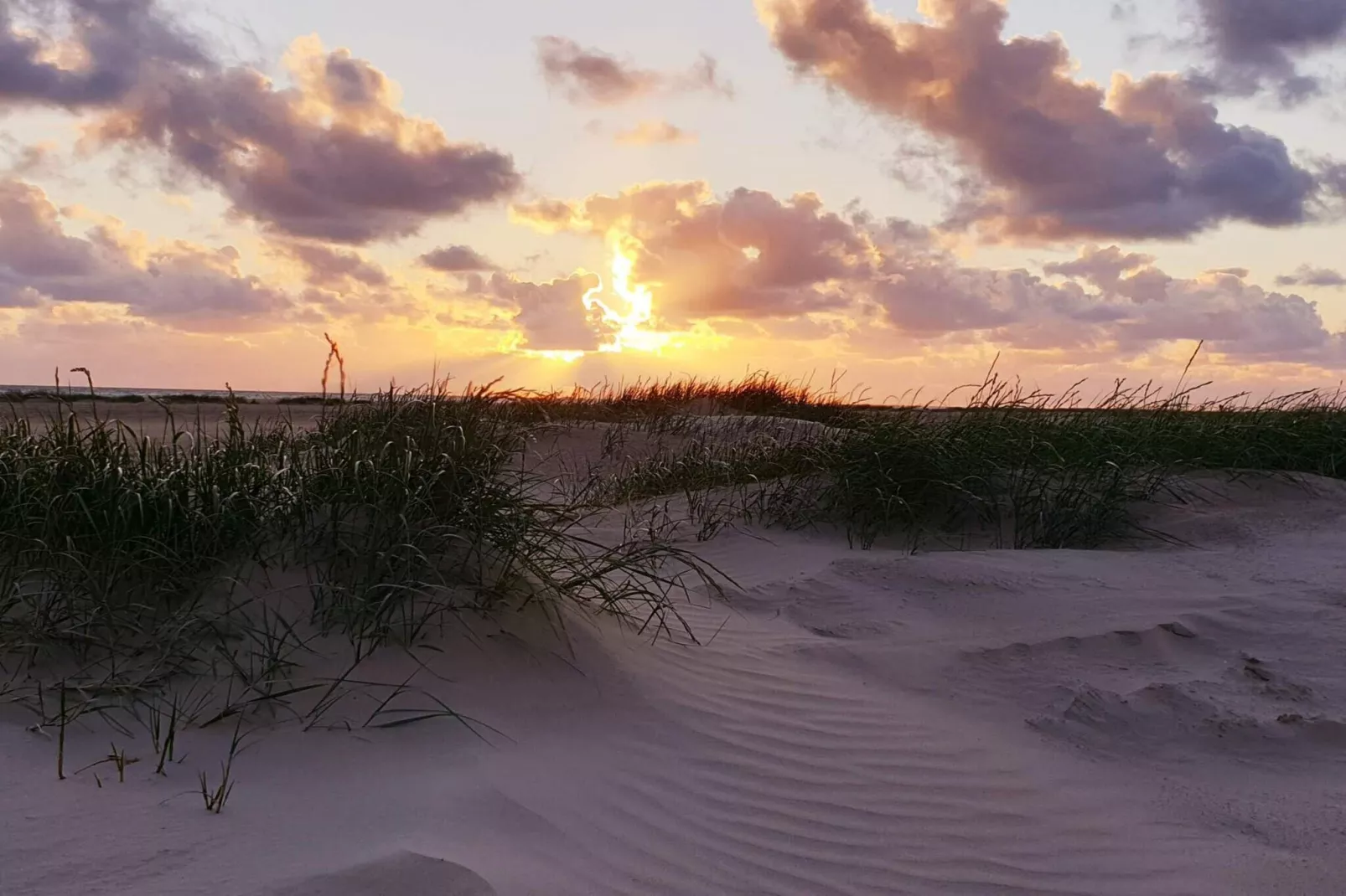 4 sterren vakantie huis in Fanø-By Traum-Niet-getagd