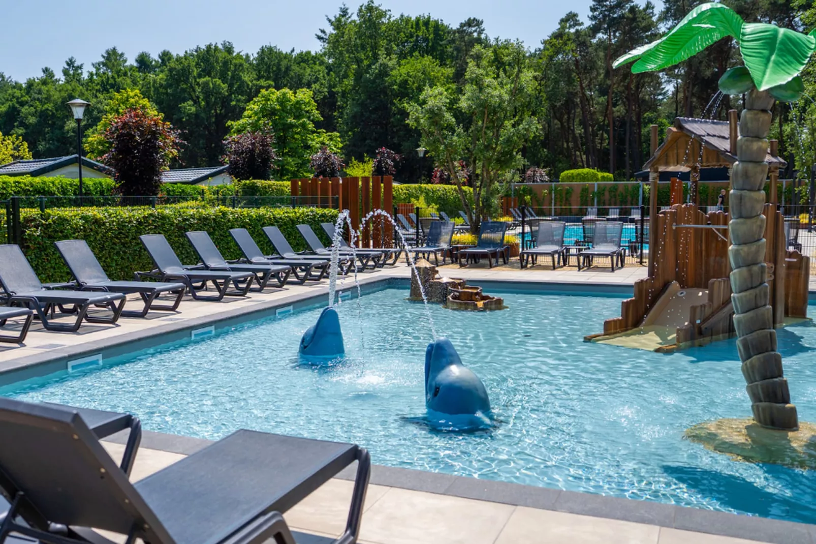 Vakantiepark Molenvelden 8-Zwembad