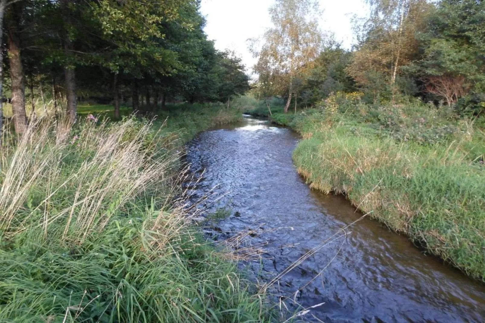 Domaine Des Messires 2-Gebieden zomer 1km