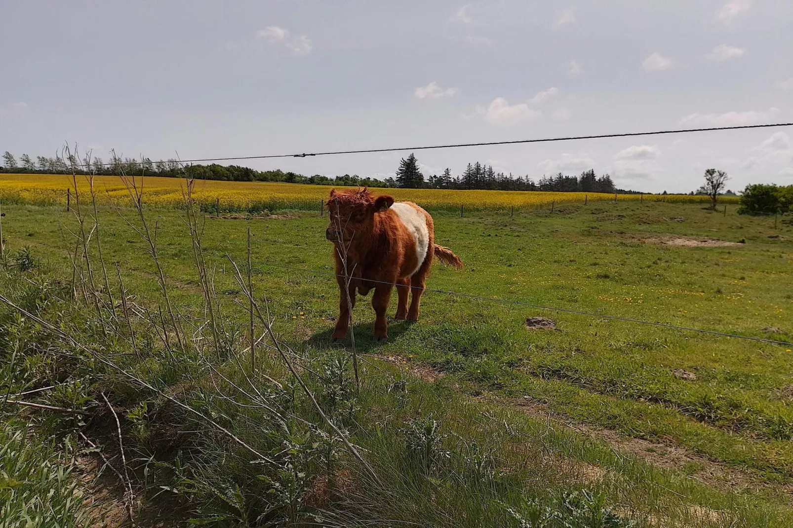 7 persoons vakantie huis in Fjerritslev-By Traum