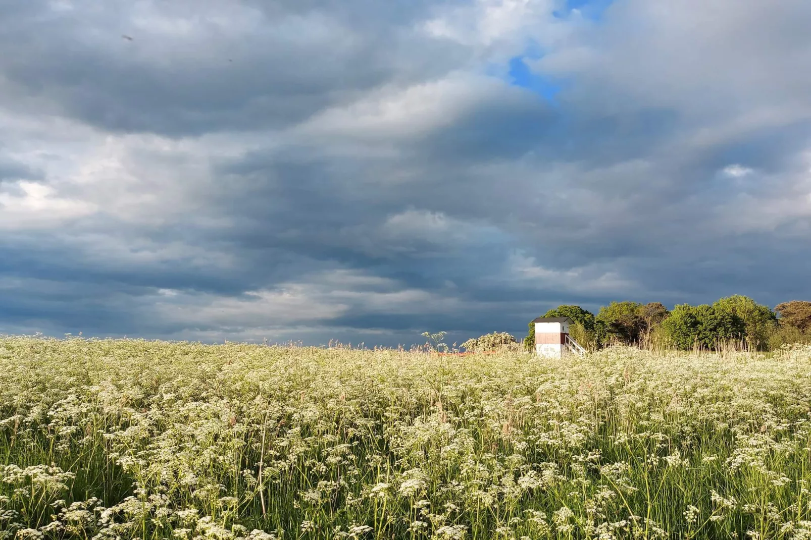 4 sterren vakantie huis in Præstø-By Traum