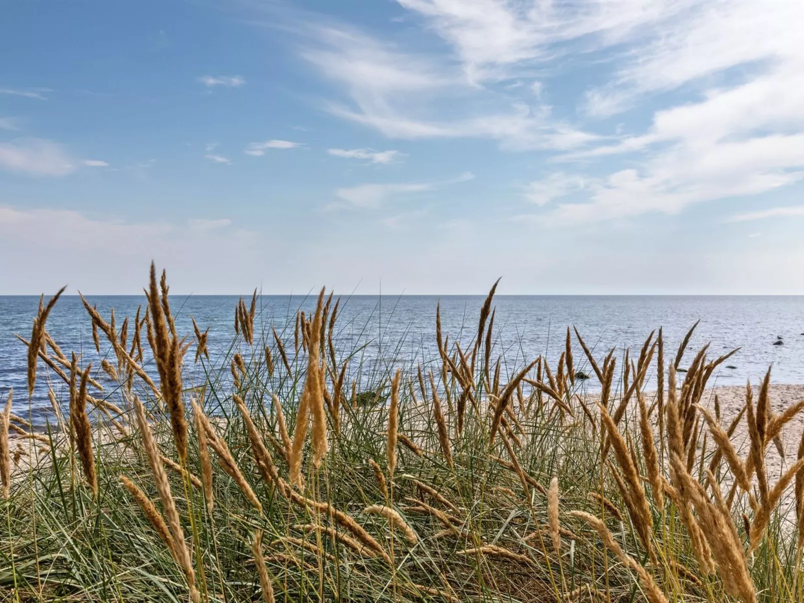 "Solfred" - 200m from the sea