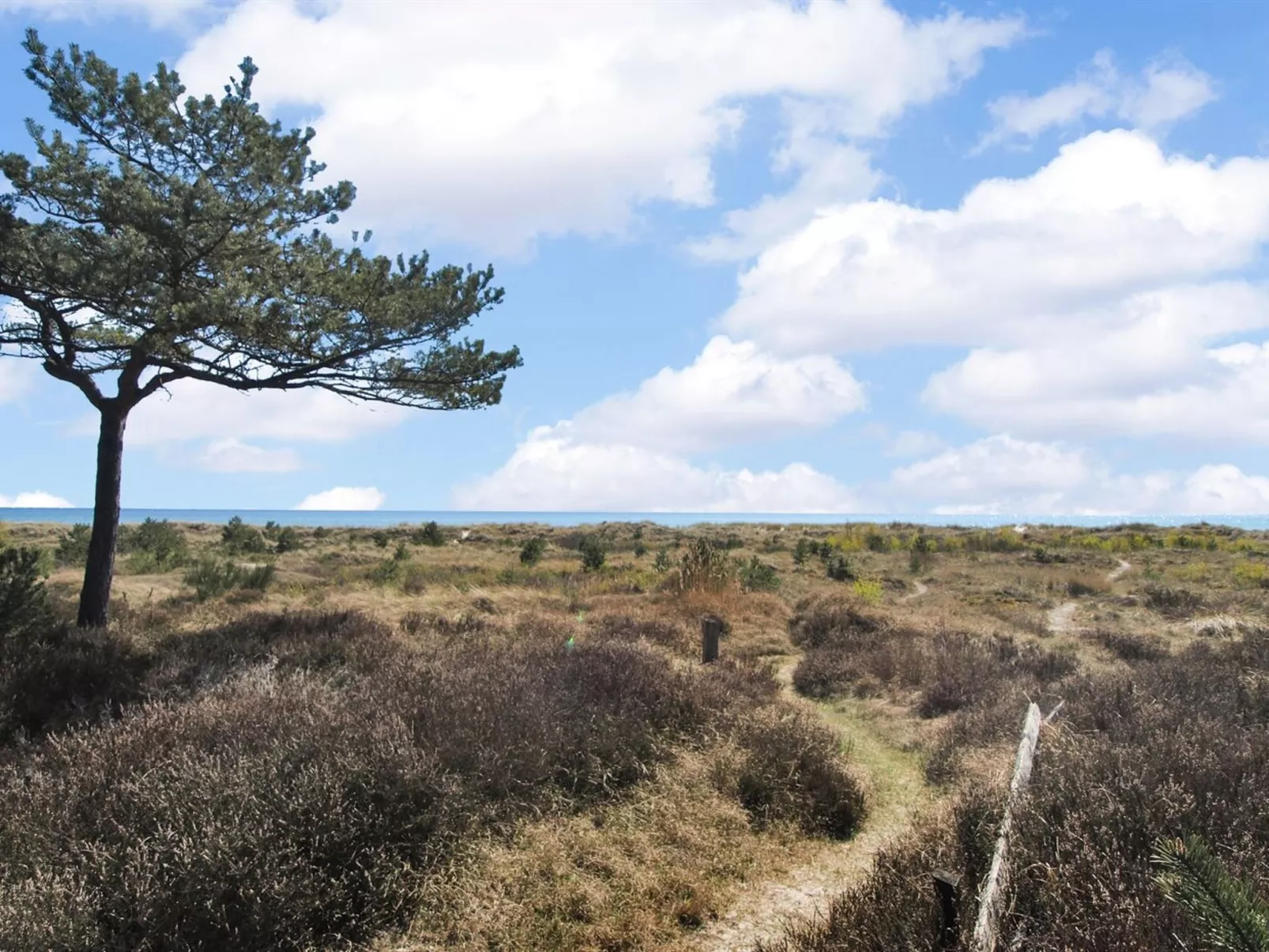 "Othinkarl" - 150m from the sea